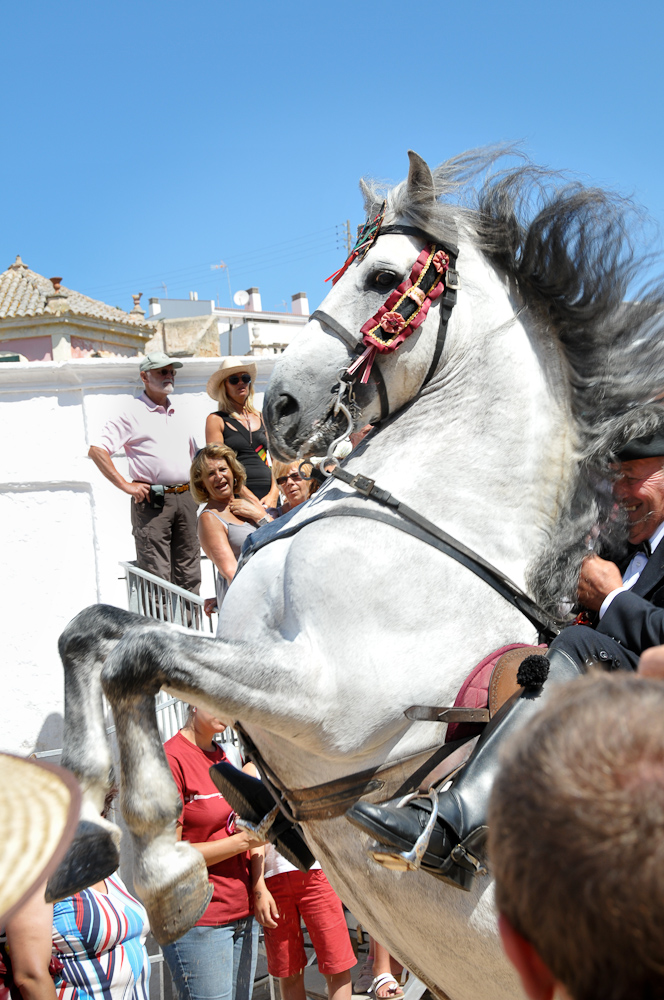 Sant Joan Fest Menorca 2009 in Ciutadella