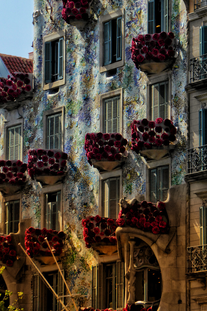 Sant Jordi