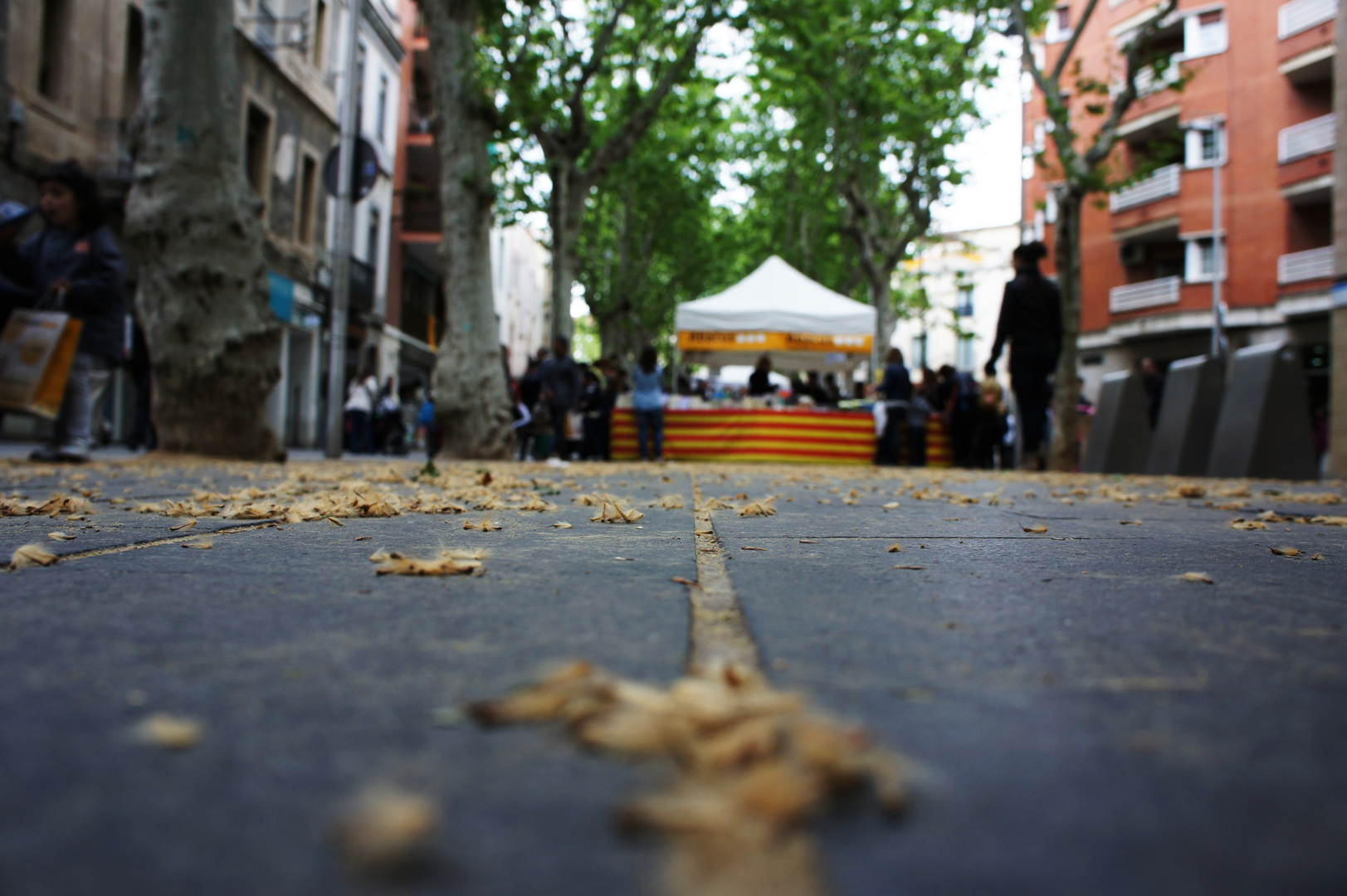 Sant Jordi (Sant Boi de Llobregat)