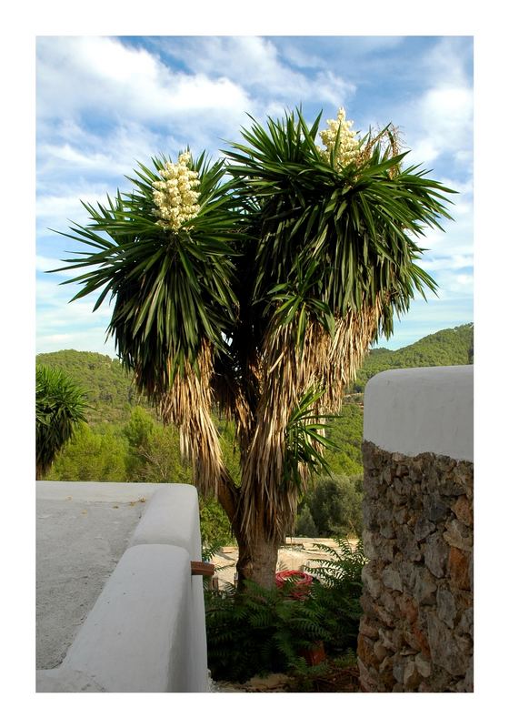 Sant Miquel de Balanzat