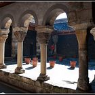 Sant Pere de Caserres_3