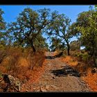 Sant Quirze de Colera Part 3