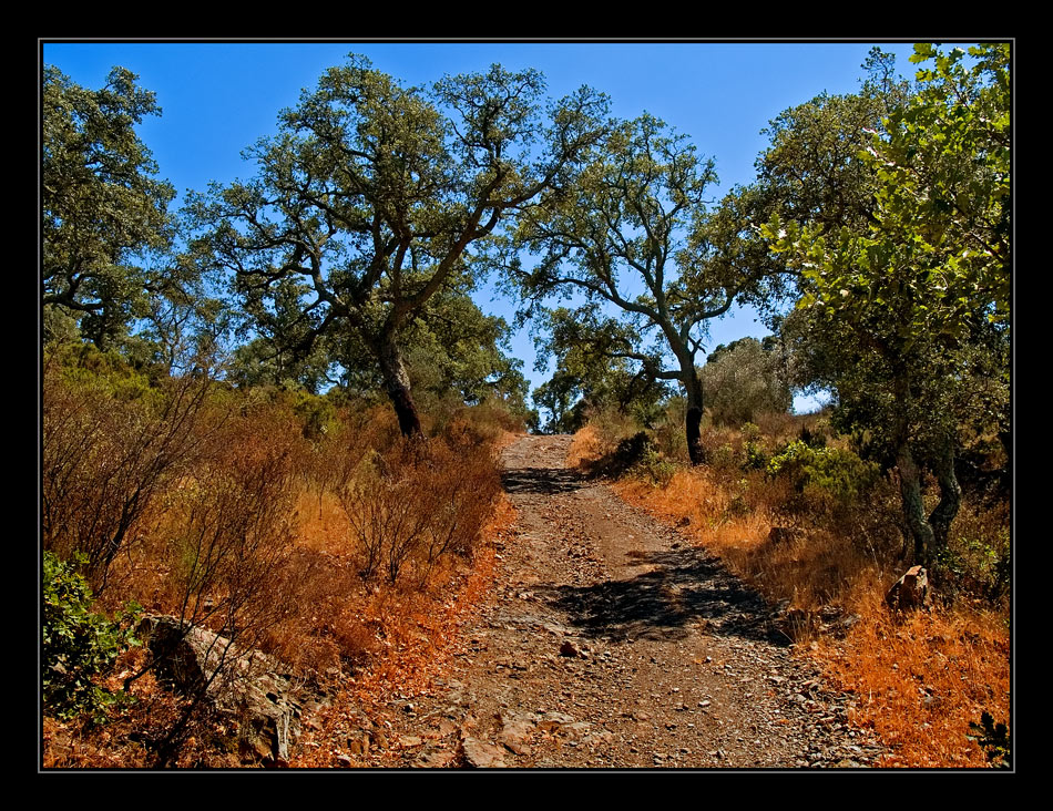 Sant Quirze de Colera Part 3