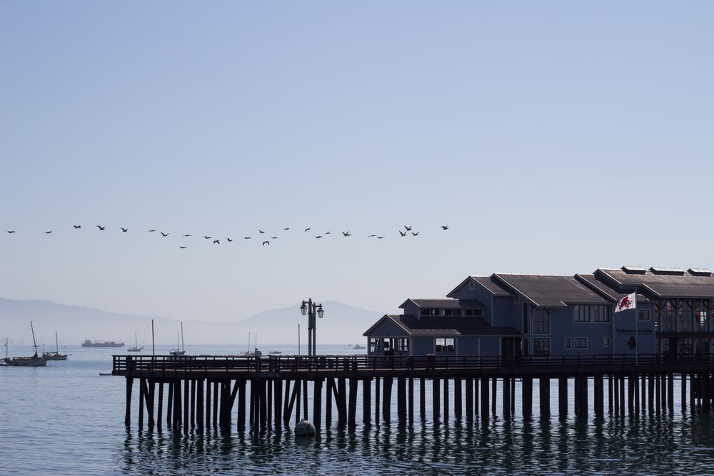 santa barbara wharf