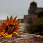 Santa Cesaria Terme (Salento)