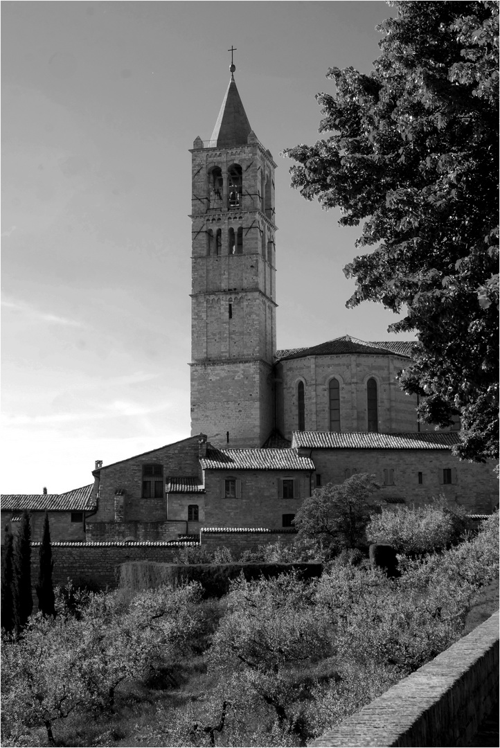 Santa Chiara