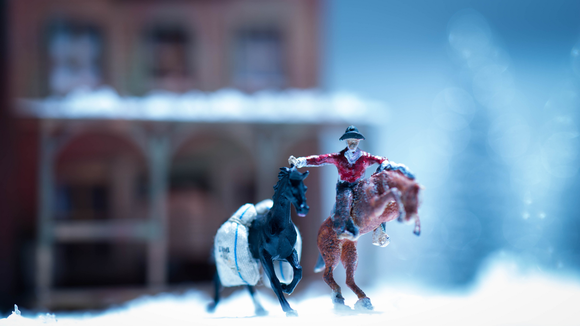 Santa Cowboy 