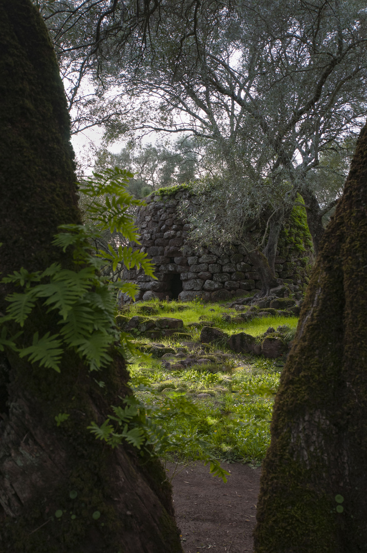 SANTA CRISTINA