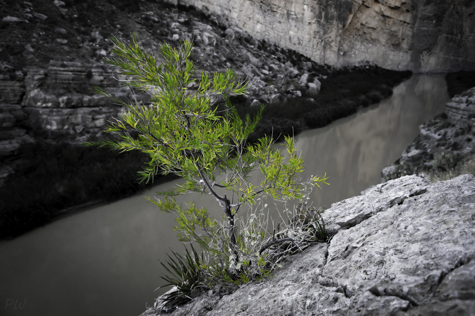 Santa Elena Canyon