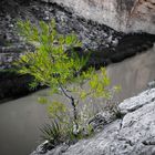 Santa Elena Canyon