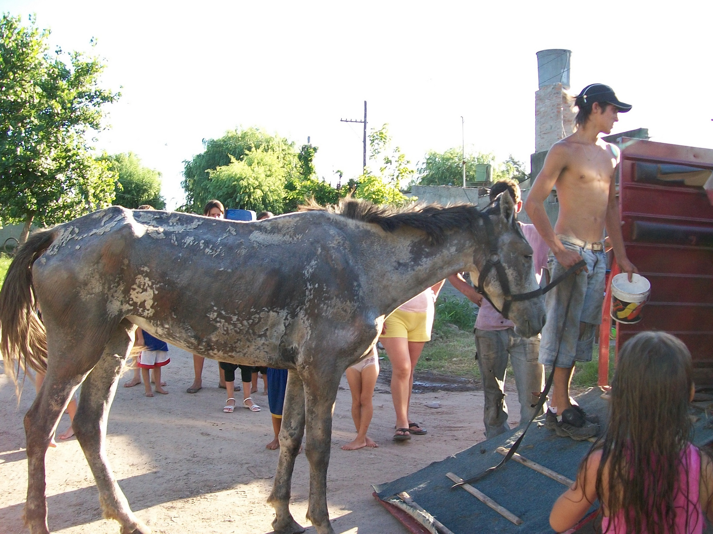 Santa fe- gracias a las autoridades responsables por NO dejar a MORA en manos de esplotadores