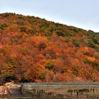 Santa Fe (Montseny)