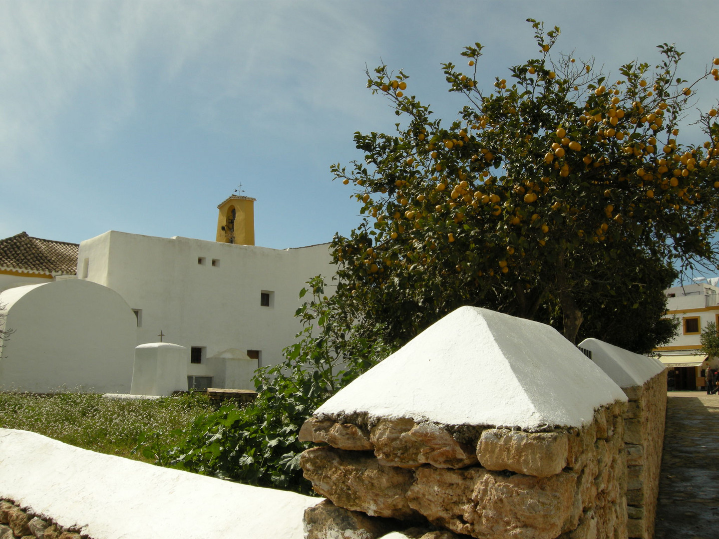 Santa Gertrudis, detalle de un huerto.