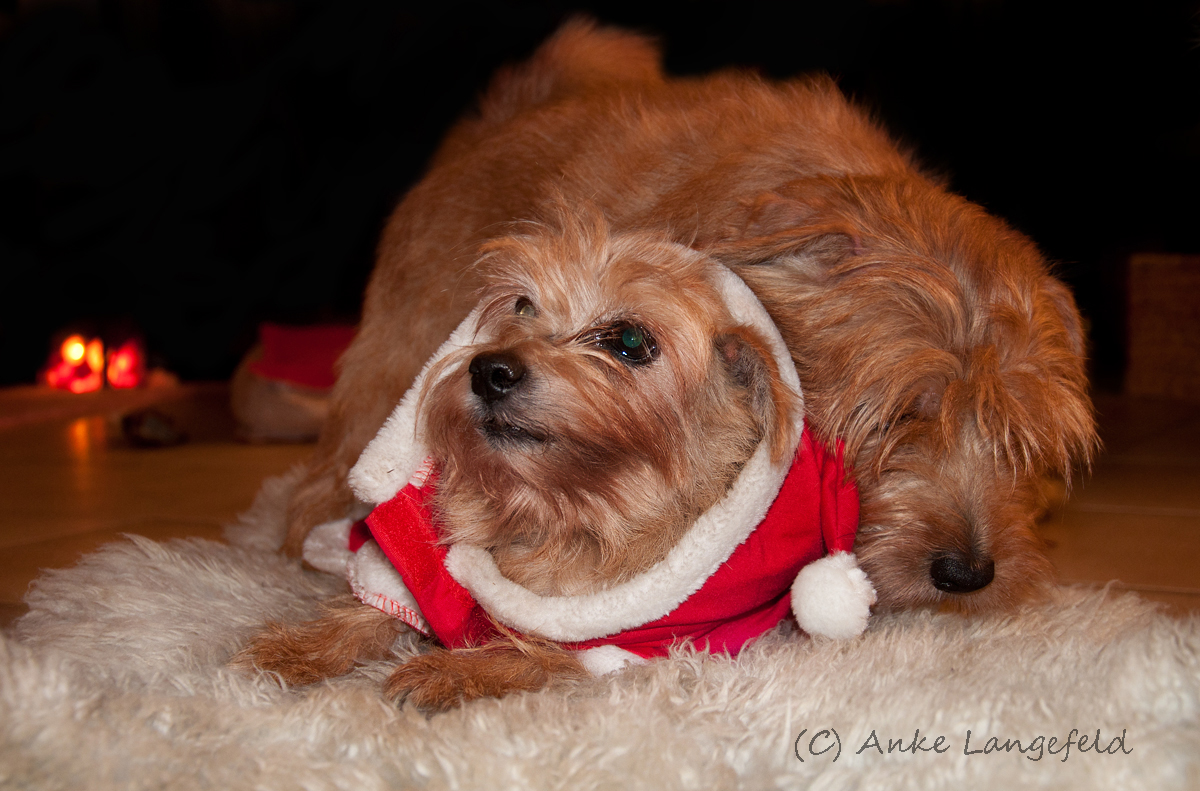 Santa loves Mrs. Claus!