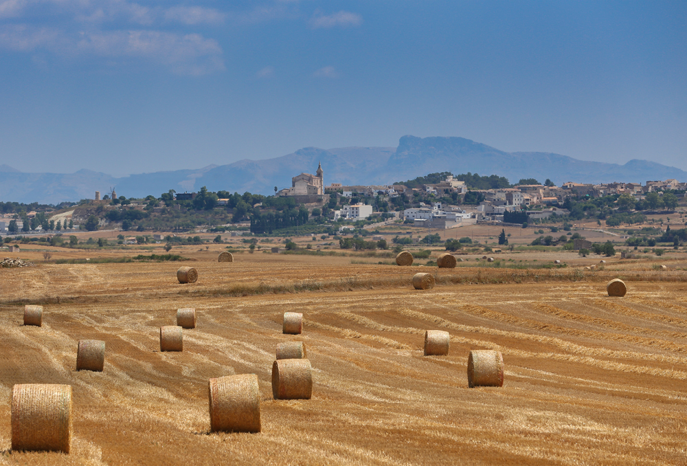 Santa Margalida