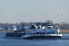 SANTA MARIA