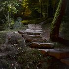 Santa Maria da Feira garden by night