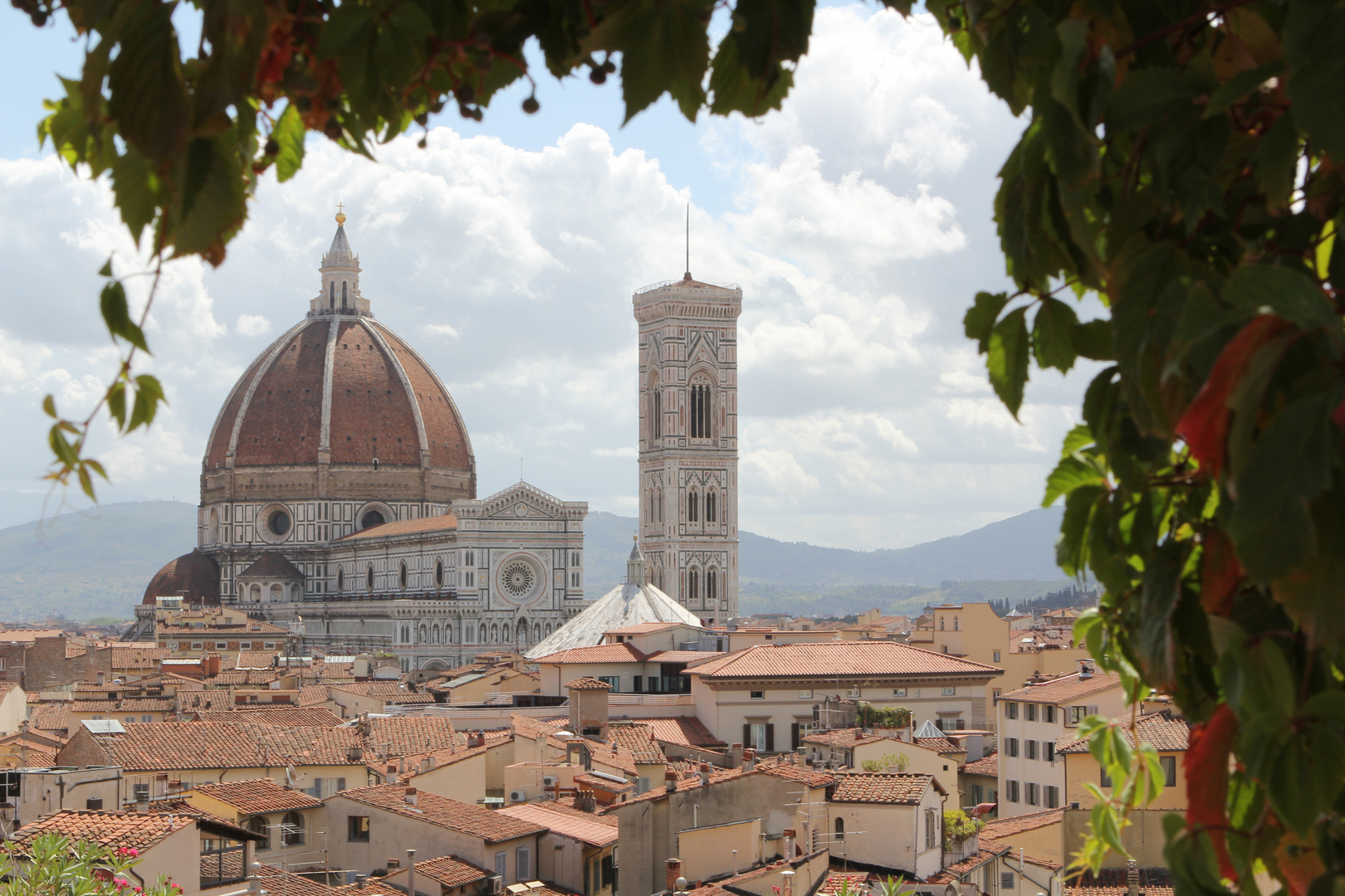 Santa Maria del Fiore