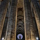 Santa Maria del Mar. Barcelona