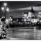 Santa Maria della Salute (2)