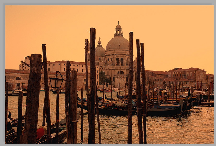 Santa Maria della Salute 4