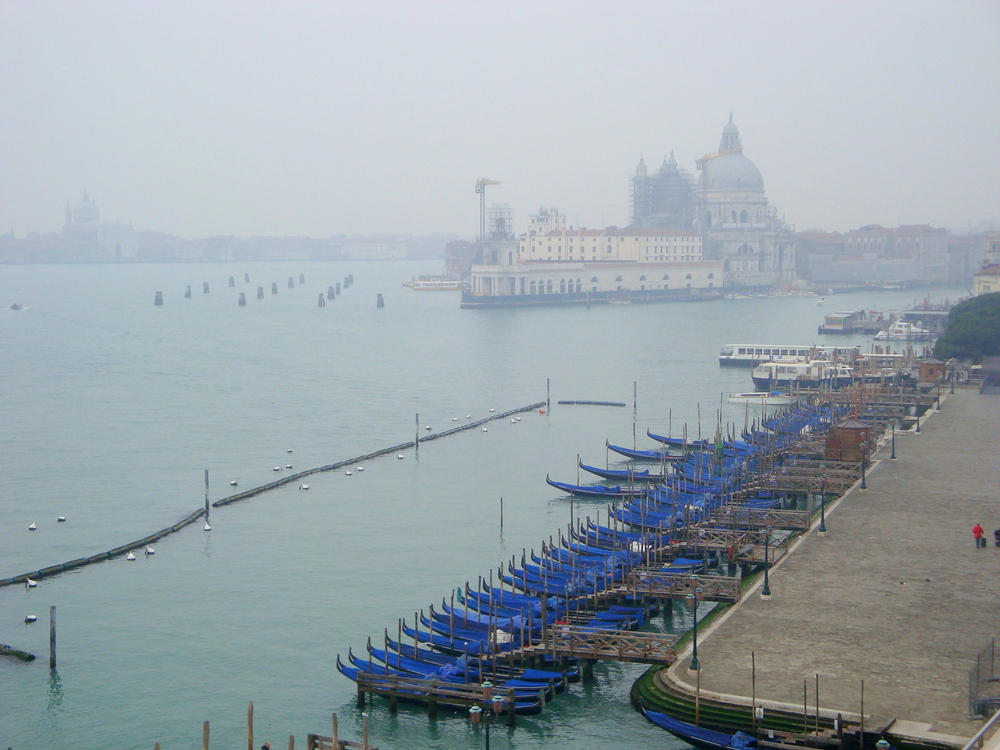 Santa Maria della Salute dans la Brume .