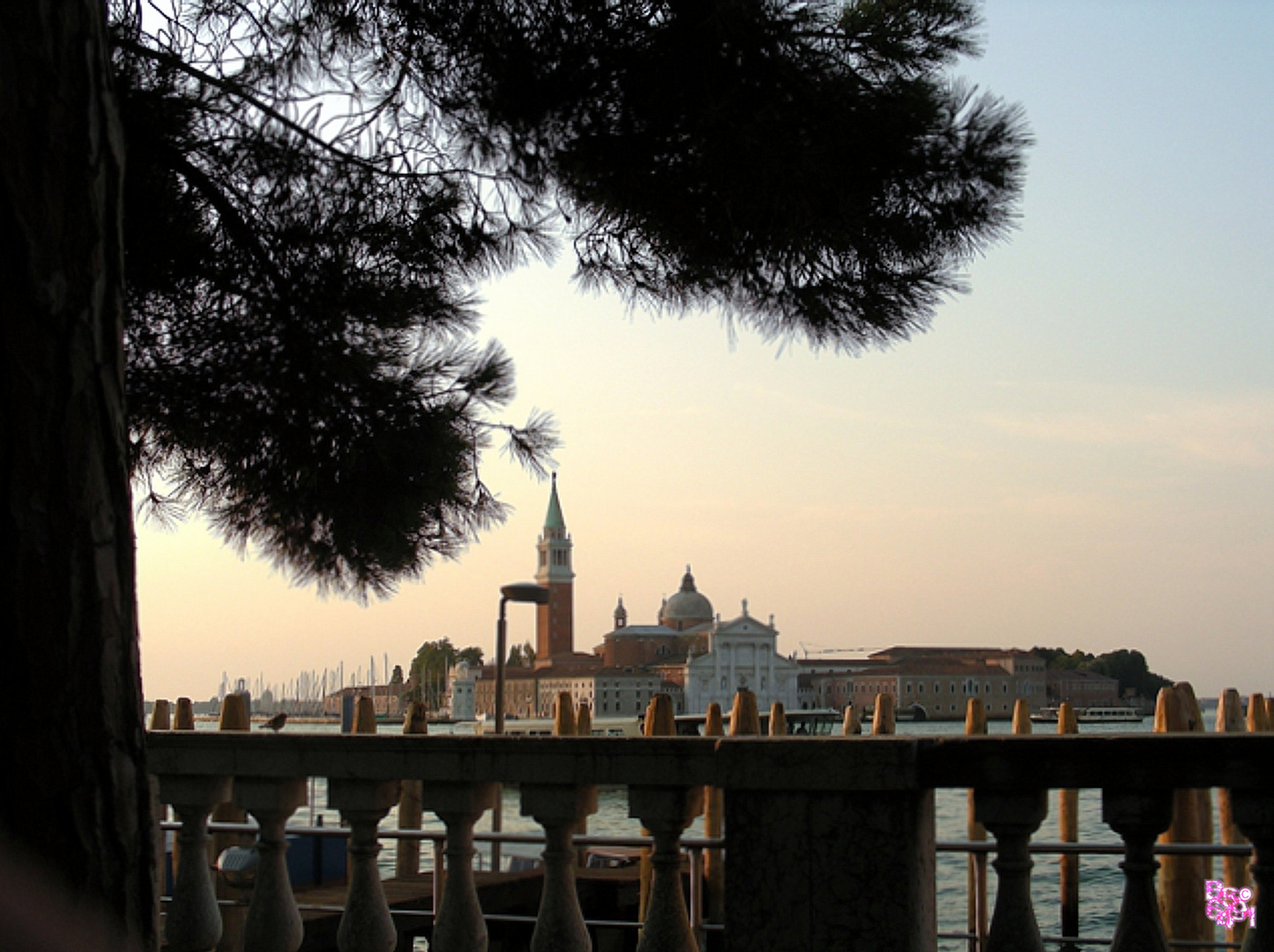 Santa Maria della Salute im Morgenlicht