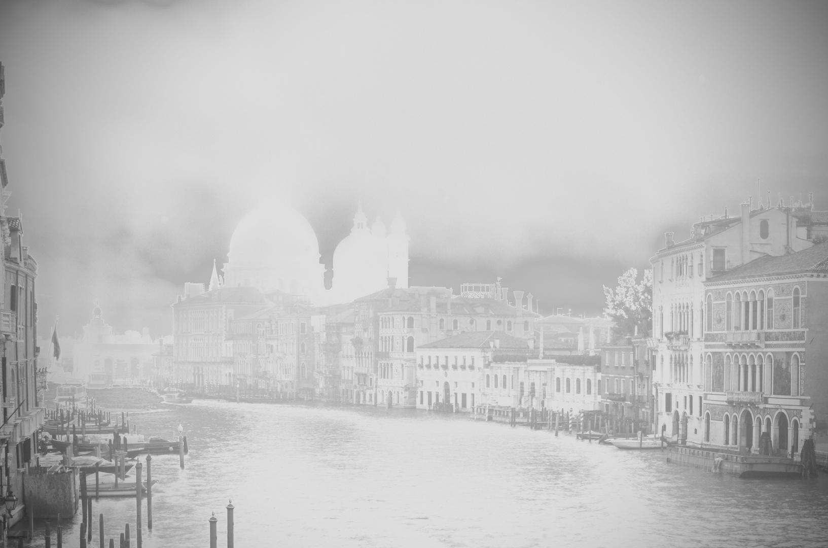 Santa Maria della Salute im Morgennebel