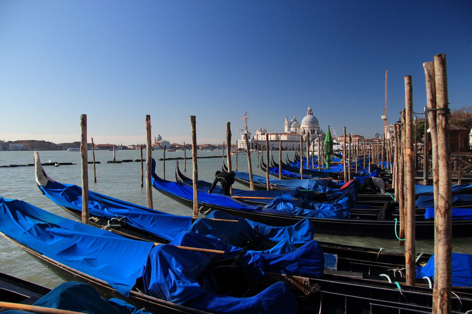 Santa Maria della Salute, Venezia 12_02_21