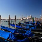 Santa Maria della Salute, Venezia 12_02_21