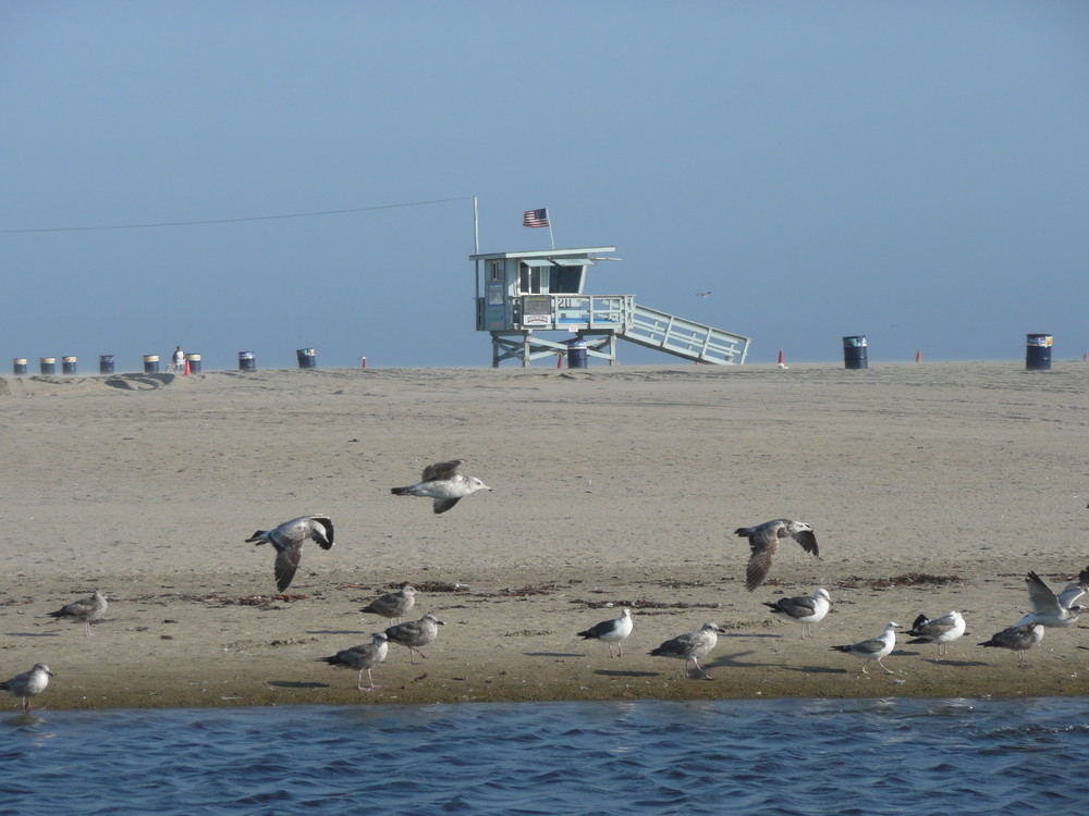 Santa Monica