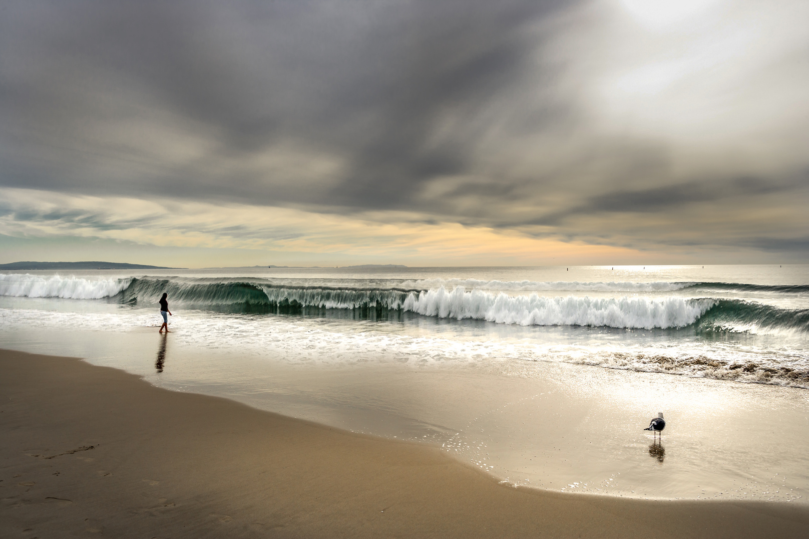 Santa monica beach