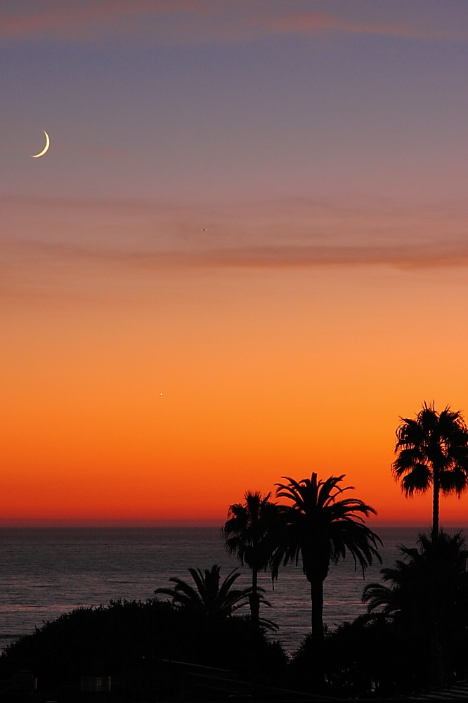 Santa Monica Beach