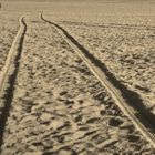 Santa Monica beach