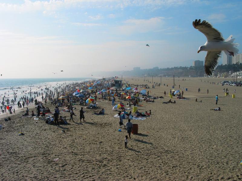 Santa Monica Beach