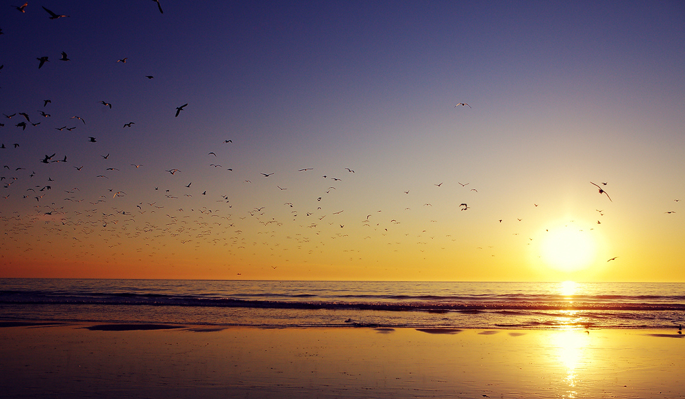 Santa Monica Beach