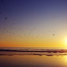 Santa Monica Beach