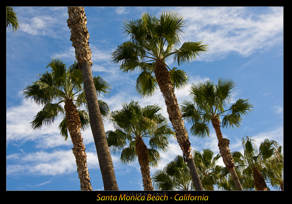 Santa Monica Beach I