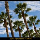 Santa Monica Beach I