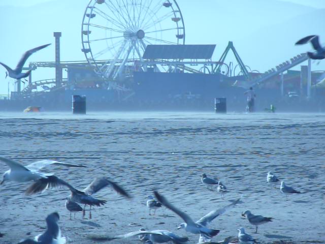 Santa Monica pier