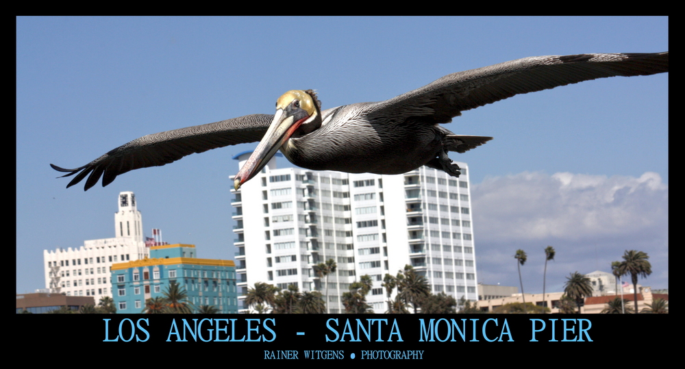 Santa Monica Pier