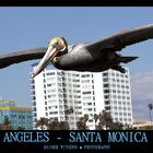 Santa Monica Pier