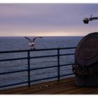 Santa Monica Pier