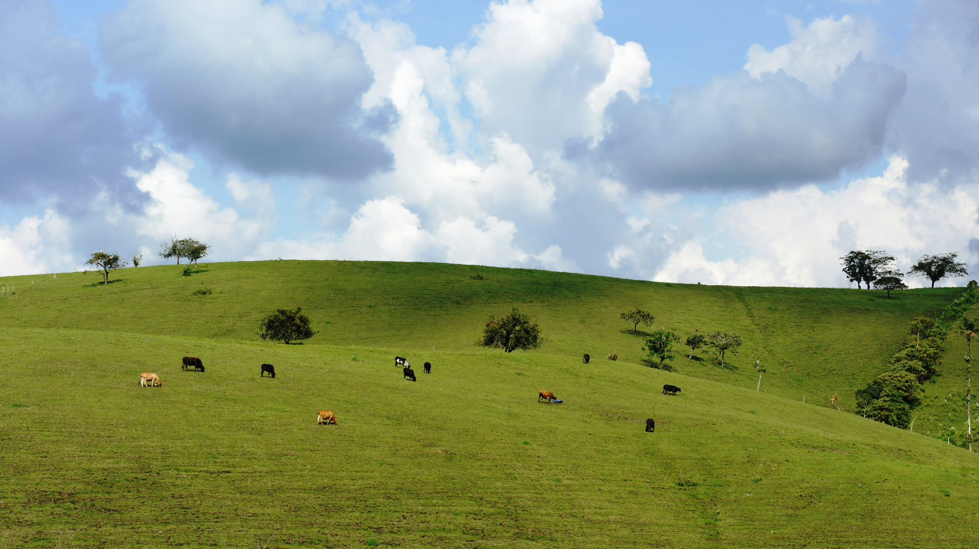 SANTA ROSA DE CABAL VIA MANIZALES