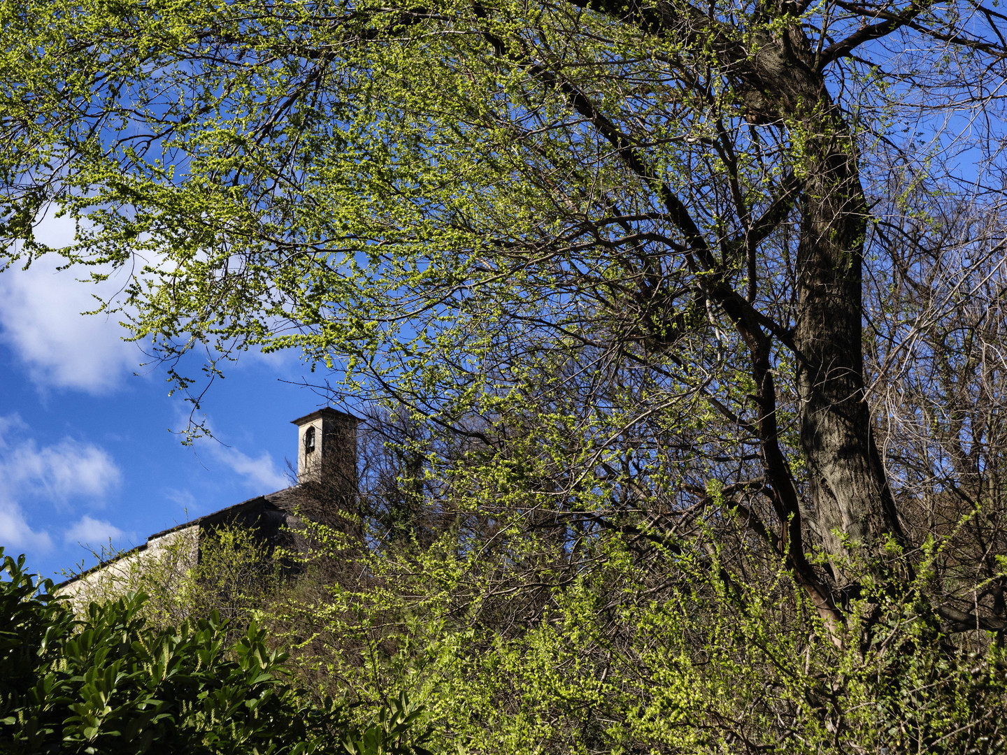 Santa Veronica nel verde