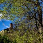 Santa Veronica nel verde