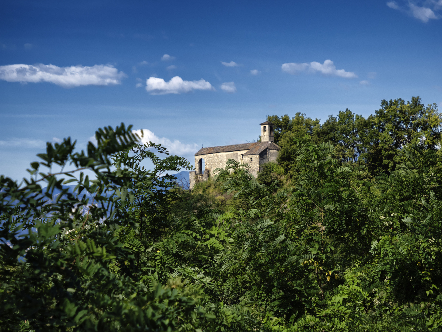 Santa Veronica nel verde