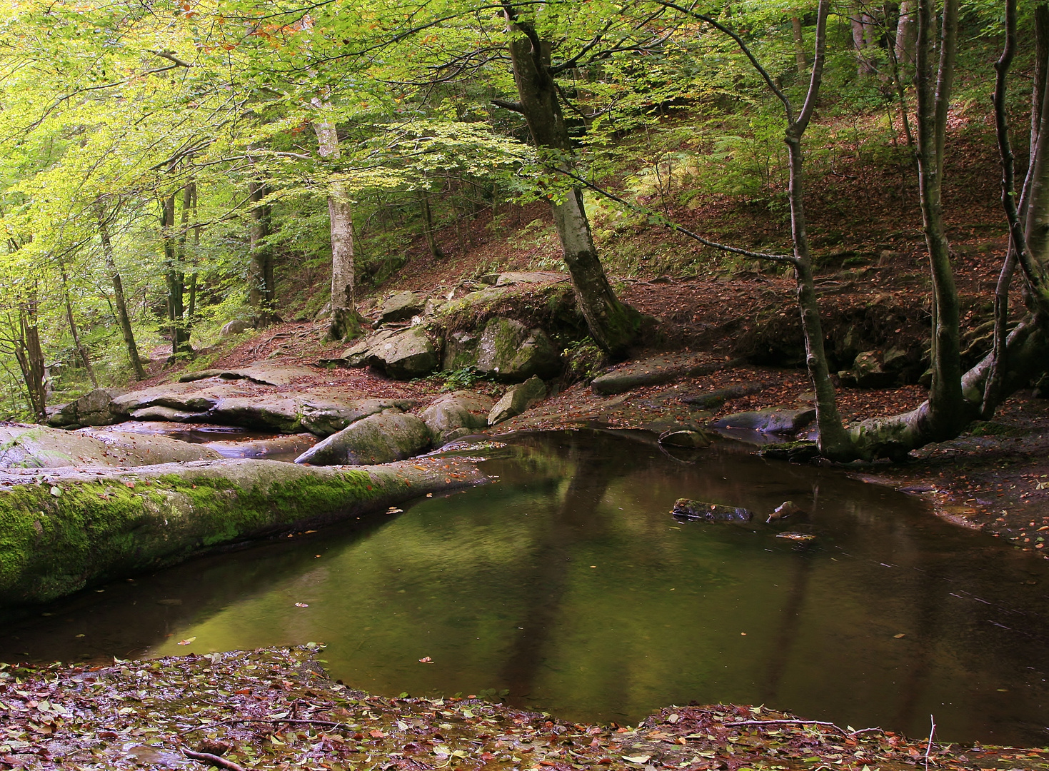 SANTAFE DEL MONTSENY