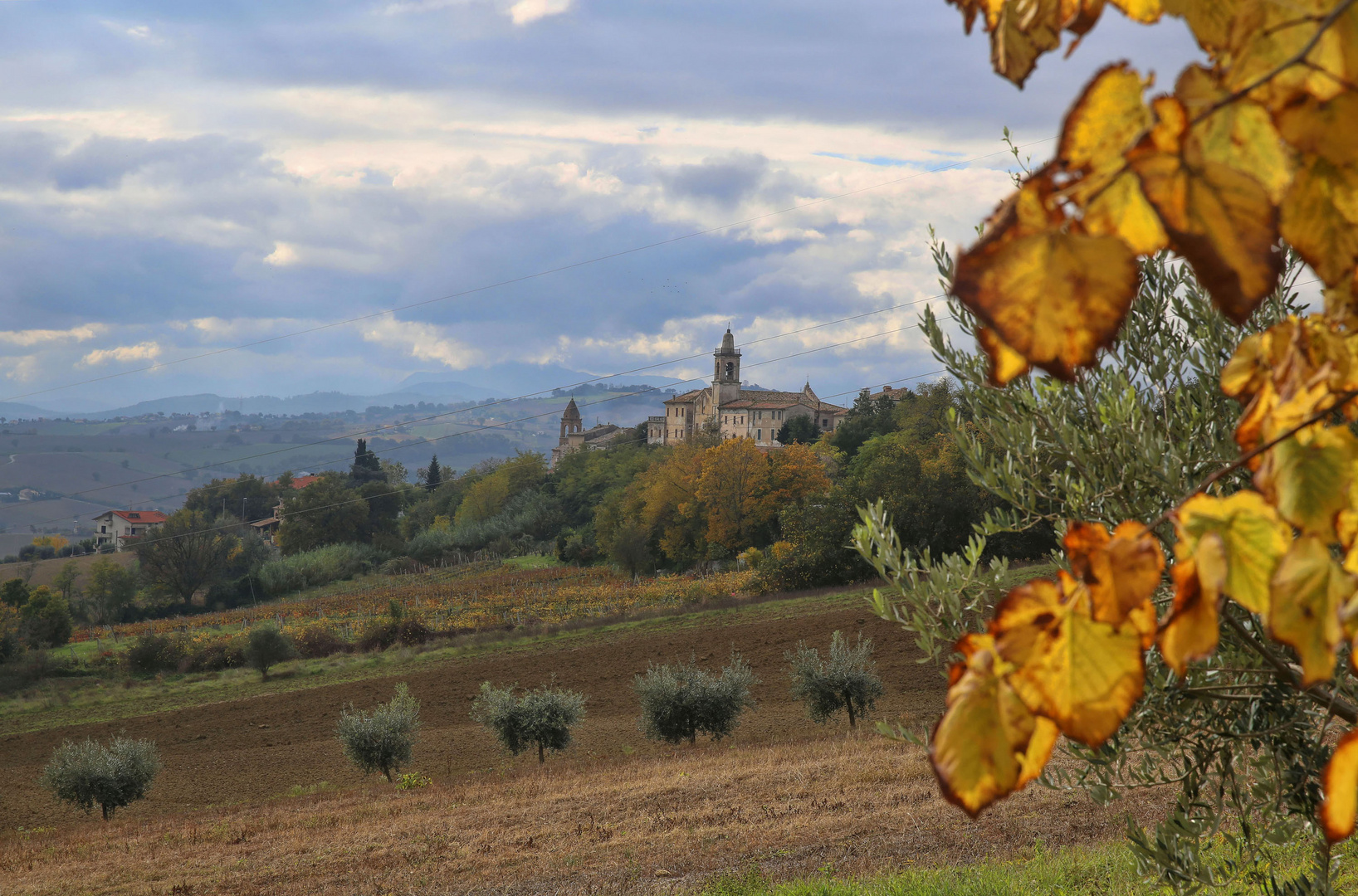 Sant'Andrea di Suasa