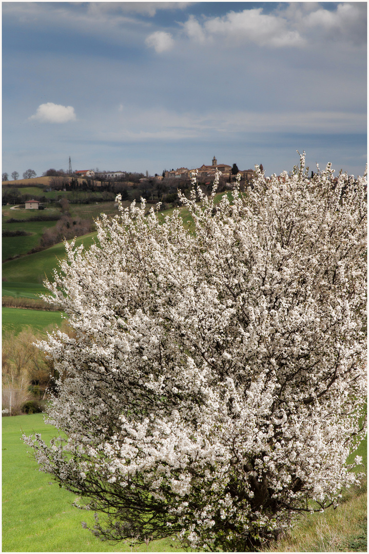 Sant'Andrea di Suasa